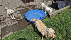 Paddling Pool