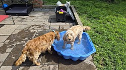 Paddling Pool