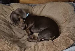 sleep
